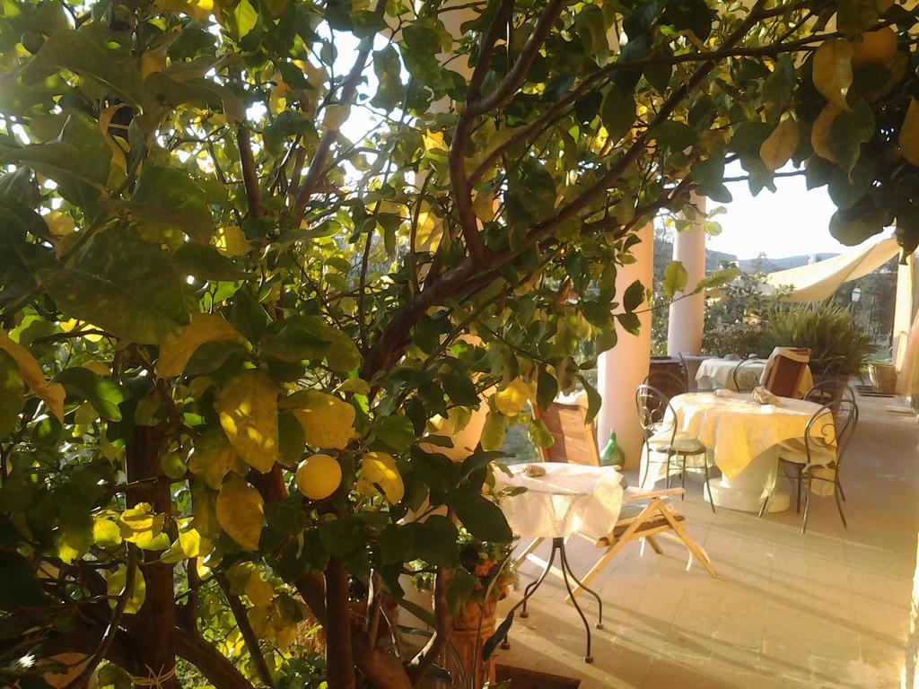 צ'רבטרי Guest House Villa Di Judighes מראה חיצוני תמונה