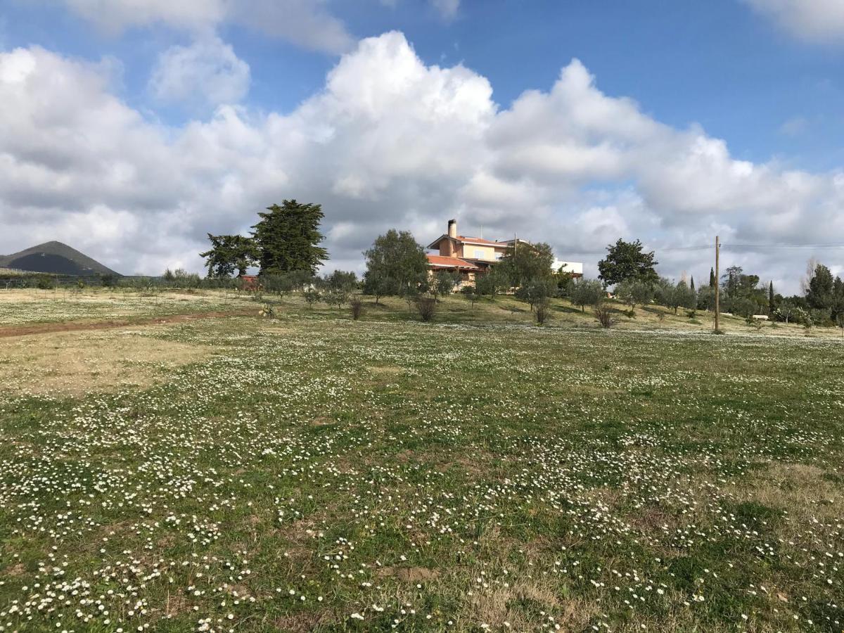 צ'רבטרי Guest House Villa Di Judighes מראה חיצוני תמונה